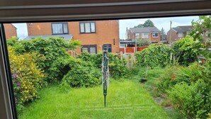 Vista a través de una ventana que muestra un jardín con diversas plantas y césped.