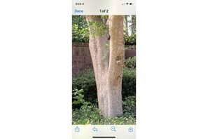 Miscellaneous - Gorgeous 6 Bedroom Home on the Water (Santa Rosa Beach)