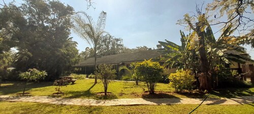 Zebras Dazzle B&B | Van Gogh twin-room