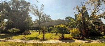 Zebras Dazzle B&B | Van Gogh twin-room