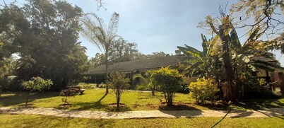 Zebras Dazzle B&B | Van Gogh twin-room