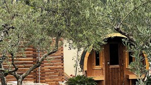 Uma cabana de madeira com entrada curvada, rodeada por vegetação exuberante e um caminho de pedra que leva à porta.
