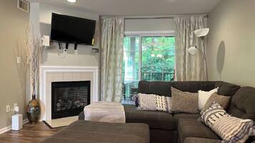 Smart TV, fireplace, books