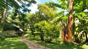 A stone pathway leading through a lush garden with various trees and a small structure with a thatched roof. - Zebras Dazzle B&B | The Peacock room - full of romance and style (Chinhoyi)