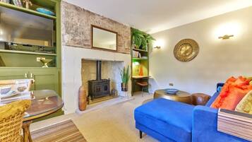Smart TV, fireplace, DVD player, books