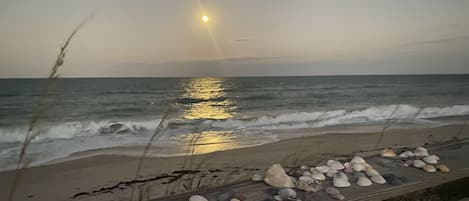 在海滩