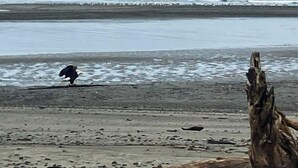 在海滩