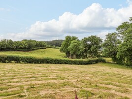 Cottage | Bathroom | Shower