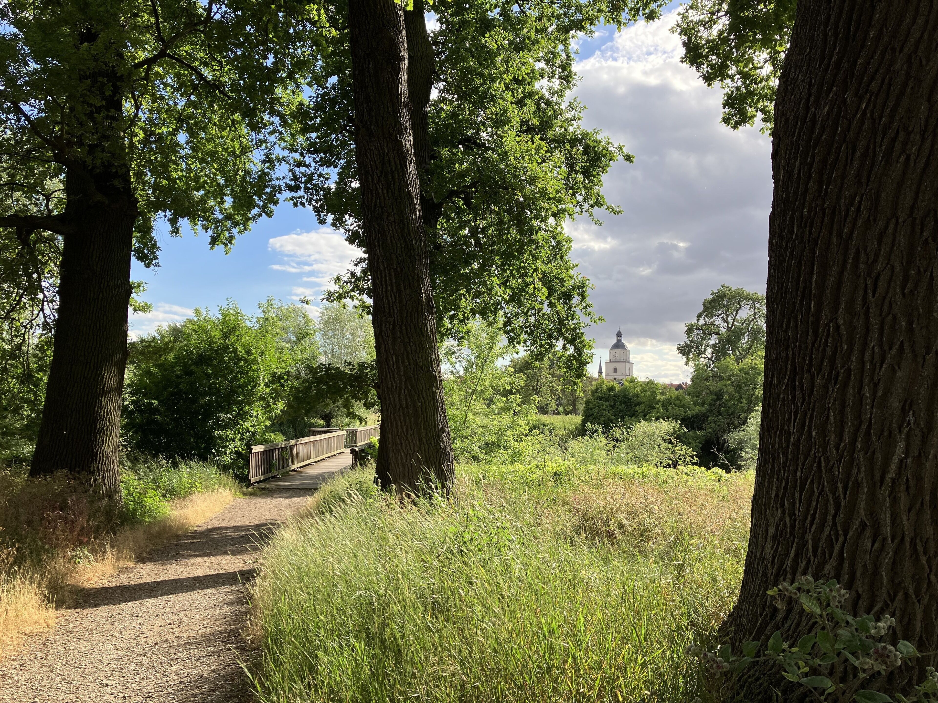 Een pad door een bebost gebied met een brug en een gebouw in de verte.