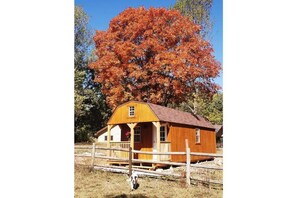 Exterior - Delightful Cabin on the Prairies of Sleepy Hollow (Crane)