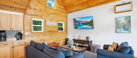 Smart TV, fireplace, books
