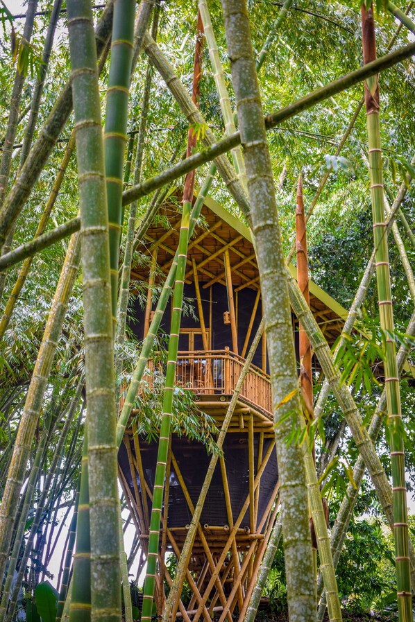 Estructura de bambú con balcón de madera y techo de paja.