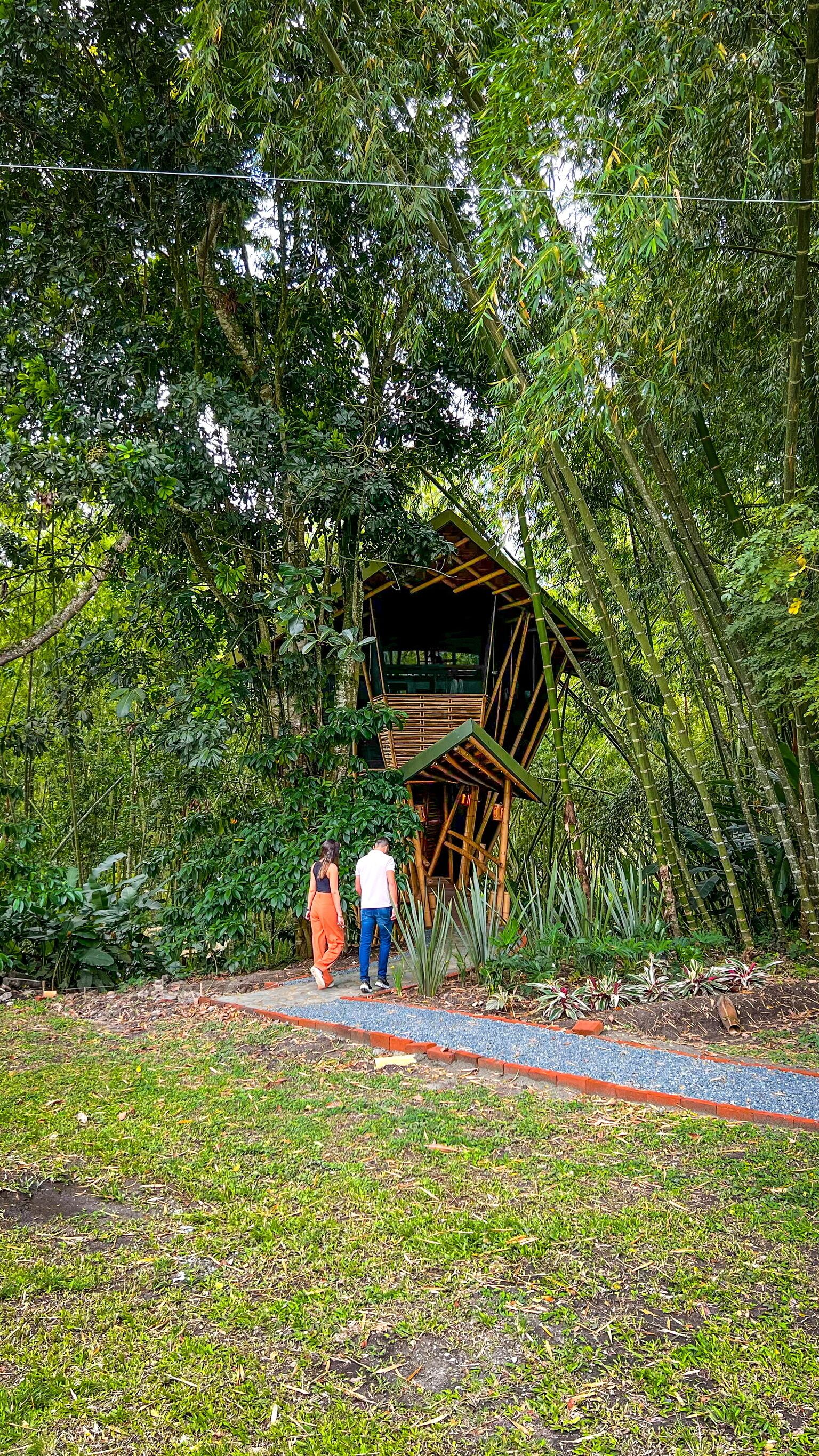 A bamboo structure in a lush forest setting.