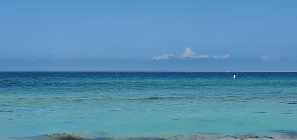 Sun loungers, beach towels - Openings for October and November at our Beach Cottage-3 minutes to the Gulf! (Largo)