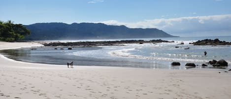 Beach nearby, white sand