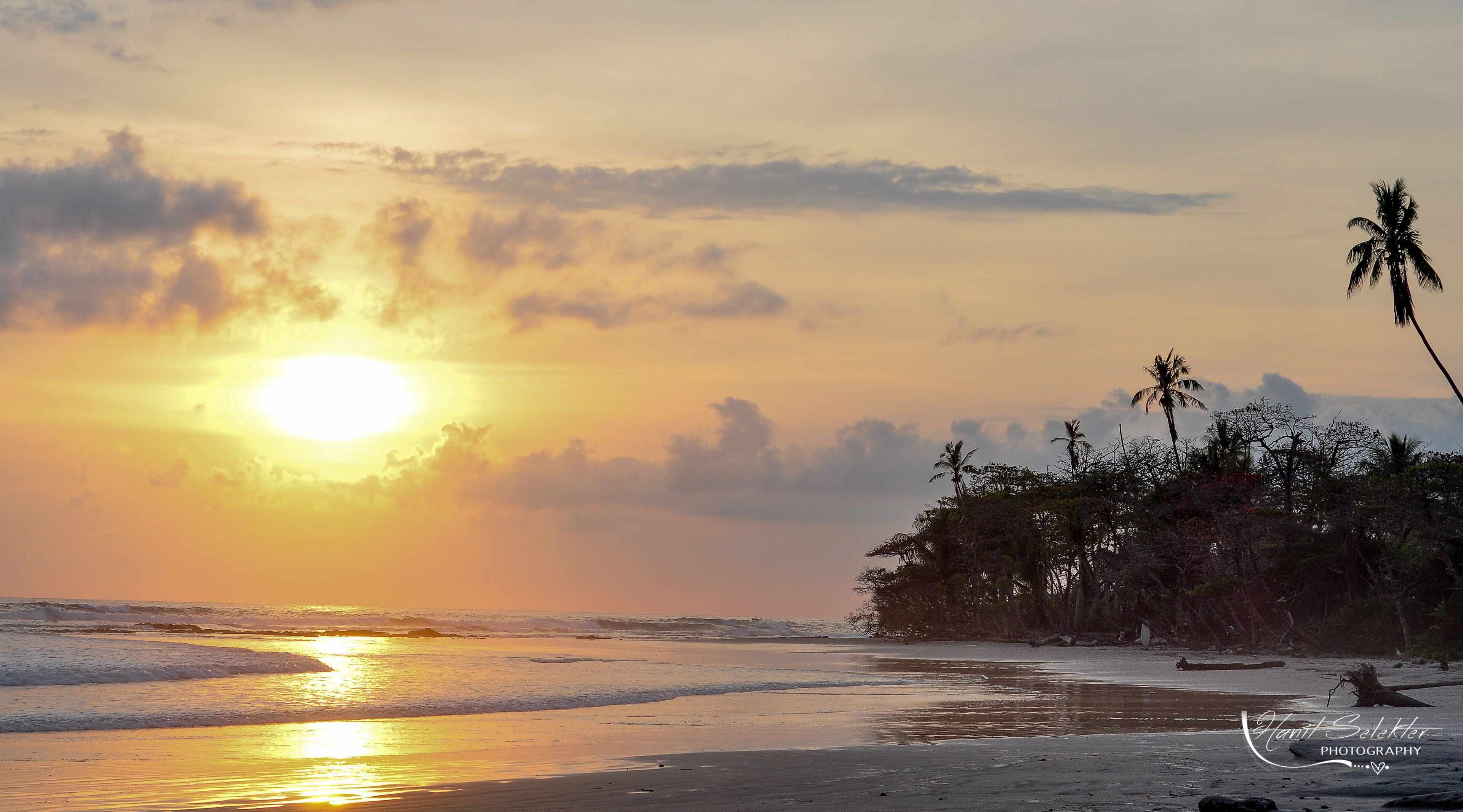 靠近海滩、白沙