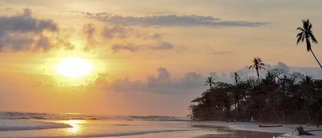 Beach nearby, white sand
