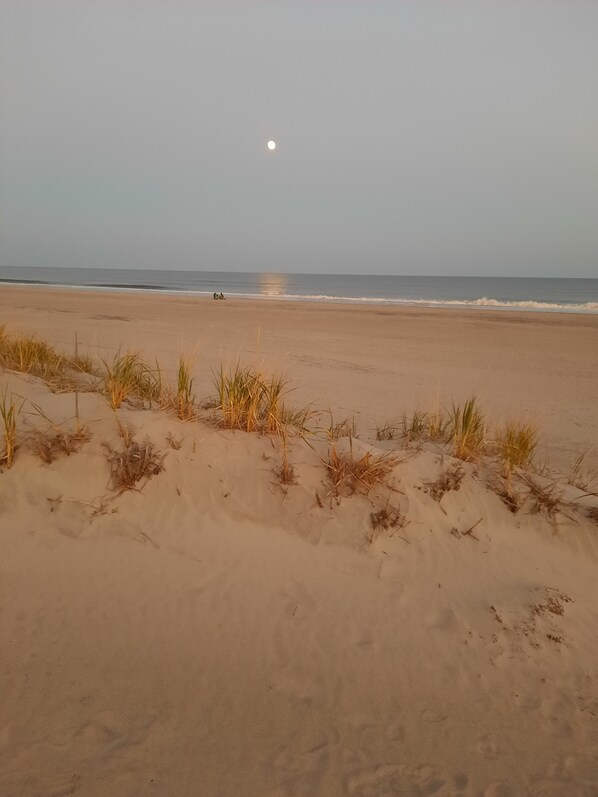 Playa en los alrededores 