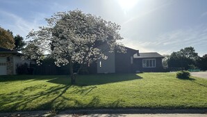 Ein Wohngebiet mit gepflegtem Rasen, einem Baum mit weißen Blüten und einem Haus mit Garage.