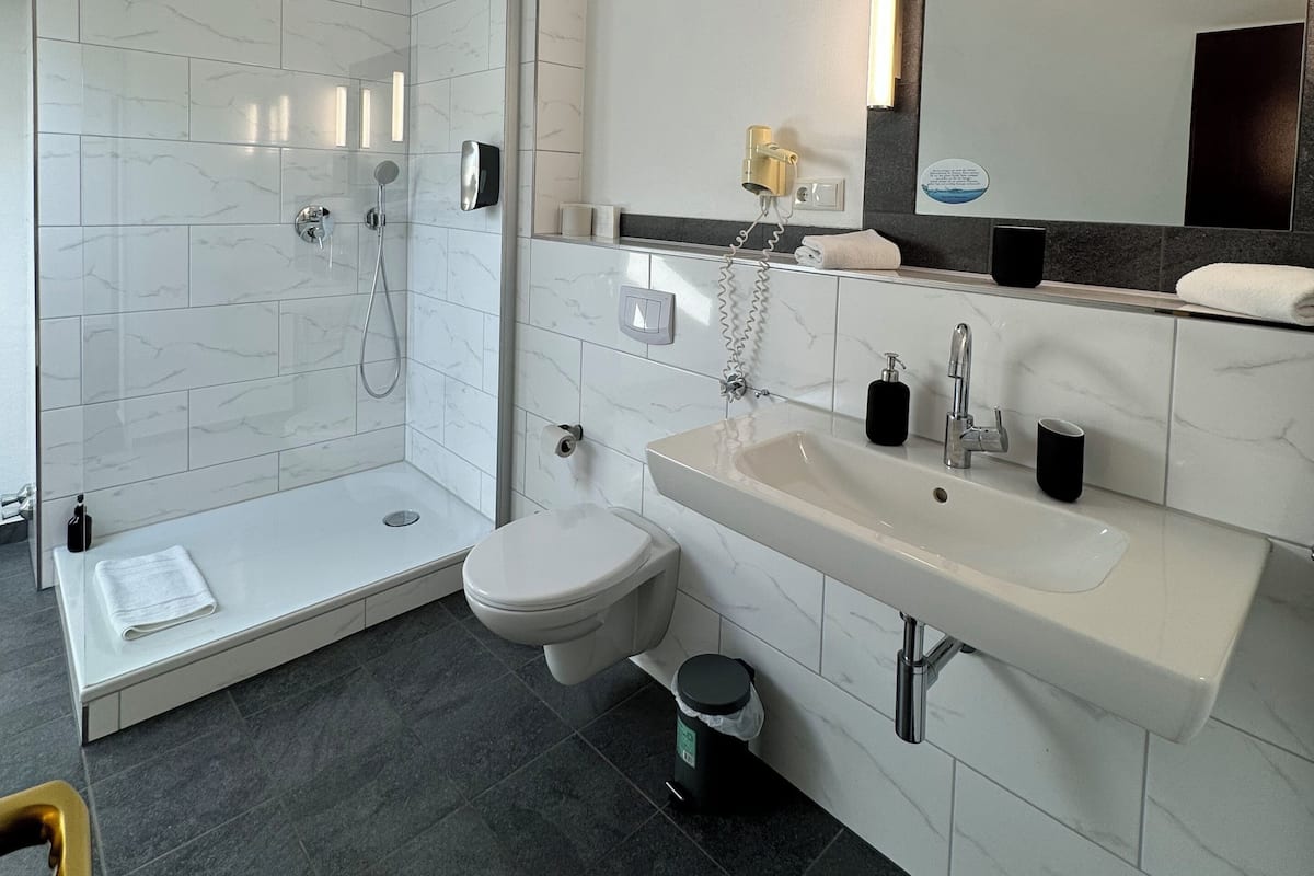 A modern bathroom with a walk-in shower, toilet, and sink.