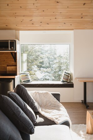 TV connectée, cheminée