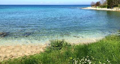 Ampia Villa Alina con Piscina Vicino al Mare