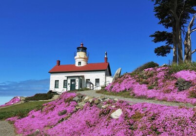 Lighthouse Point