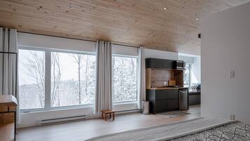 1 bedroom, desk, soundproofing, iron/ironing board