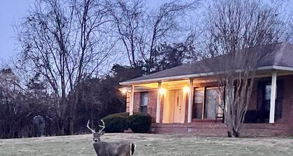 Hendersonville, TN, The Peaceful Retreat,Ping Pong & Pool Tables