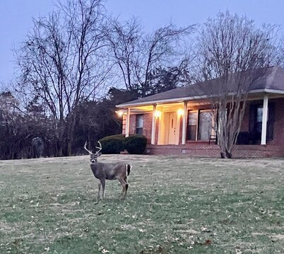 Hendersonville, TN, The Peaceful Retreat,Ping Pong & Pool Tables