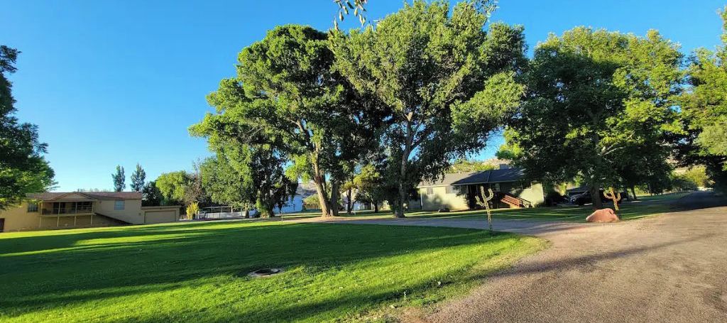 A residential area with a well-maintained lawn, mature trees, and houses in the background.