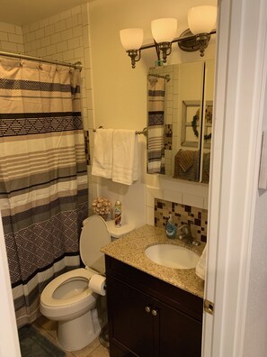 Combined shower/bathtub, hair dryer, towels, soap