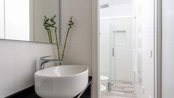 Shower, hair dryer, bidet, towels