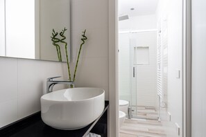 Shower, hair dryer, bidet, towels