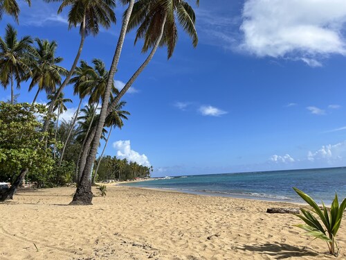 Cozy and central apartment facing the beach