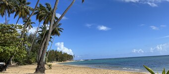 Cozy and central apartment facing the beach