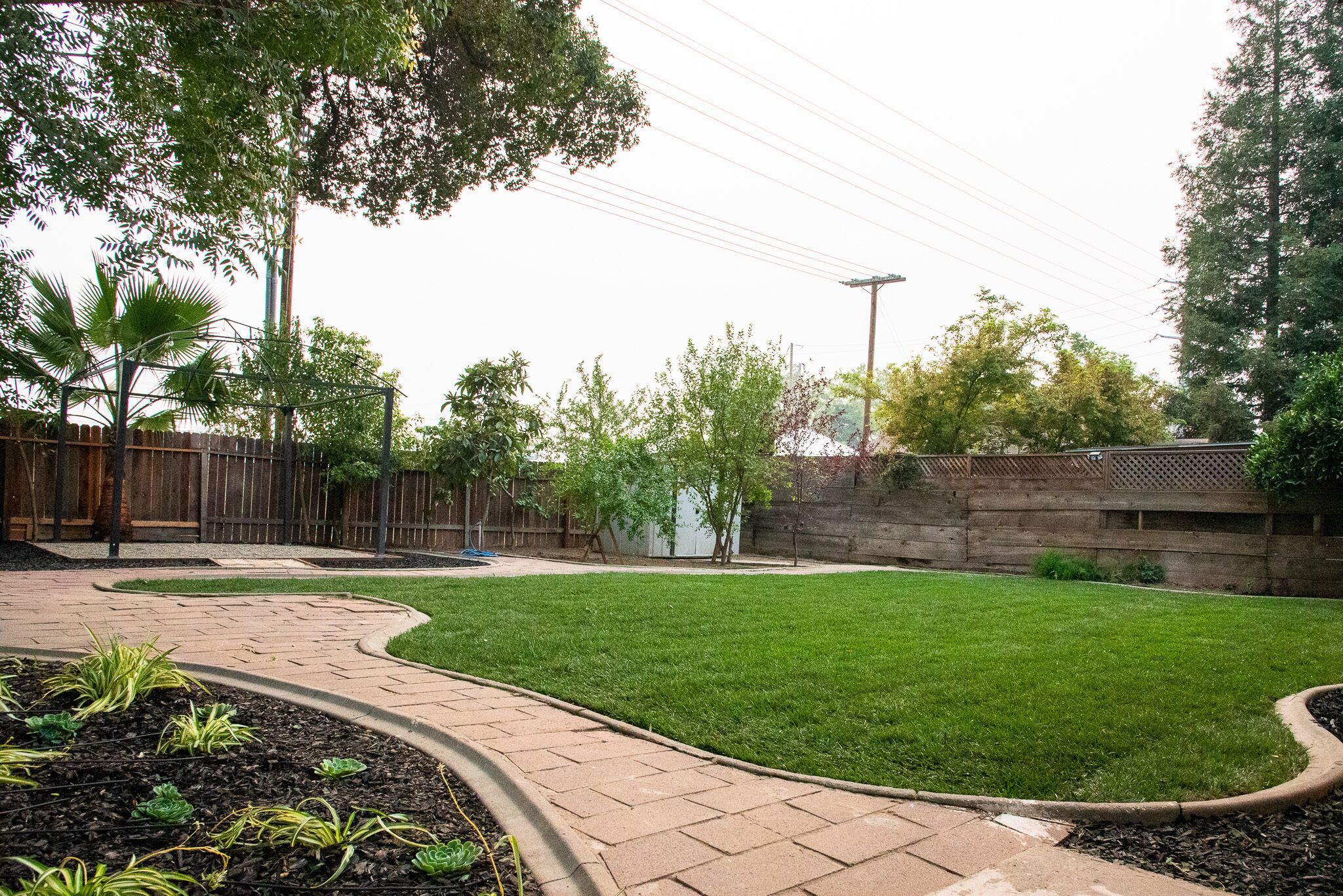 A backyard with a paved walkway, a grassy lawn, and various plants.