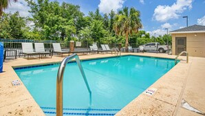 Una piscina azul clara con una escalera metálica, rodeada de sillas de descanso y una palmera.