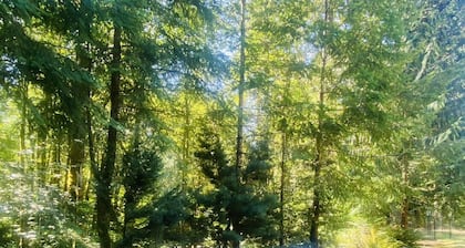 Mt. Hood cabin with cozy sounds of Zig Zag River