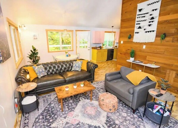 Smart TV, fireplace, video games, books