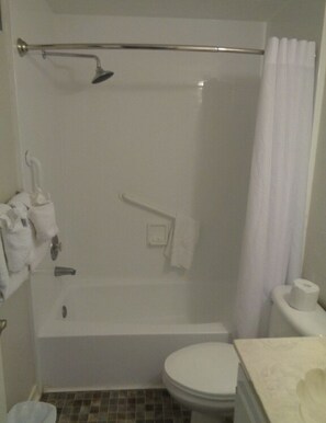 Un baño con ducha, inodoro y barra para toallas.