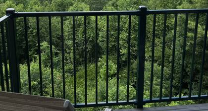 Spectacular view, 2 BR, pool, hot tub, sauna, 15 mins to Gatlinburg
