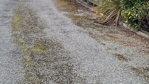 Exterior - Modern unit 2 minute nature path to the lake (Manapouri)