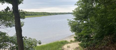 A lake surrounded by trees and grassy areas.