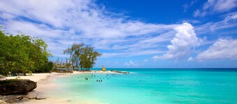 Ocean Gaze - Luxury Apartments & Condos