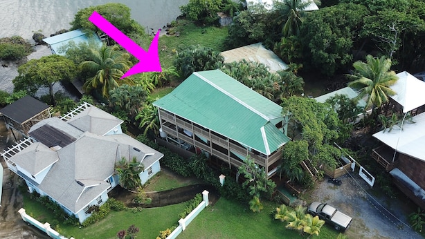Eine Luftaufnahme eines Küstengrundstücks mit einem großen Haus, das ein Gründach hat, umgeben von üppiger Vegetation und einem Steg, der ins Wasser führt.