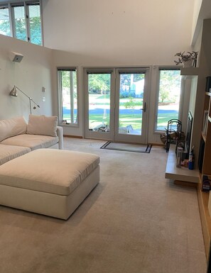 TV, fireplace, DVD player, books