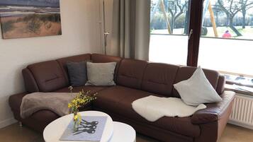 Télévision, lecteur de DVD, table de tennis de table, chaßne hi-fi