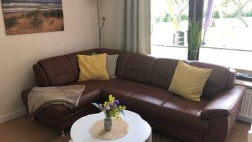 Télévision, lecteur de DVD, table de tennis de table, chaßne hi-fi