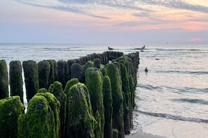 A coastal scene with moss-covered wooden posts and a bird in flight. - Sylter Rose - Modern 1-room apartment with terrace, parking space, WLAN. (Sylt)